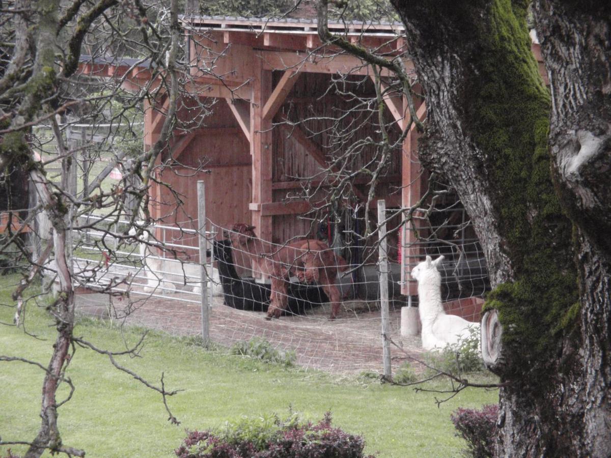 Pension Alpenhaus Vorderstoder 외부 사진