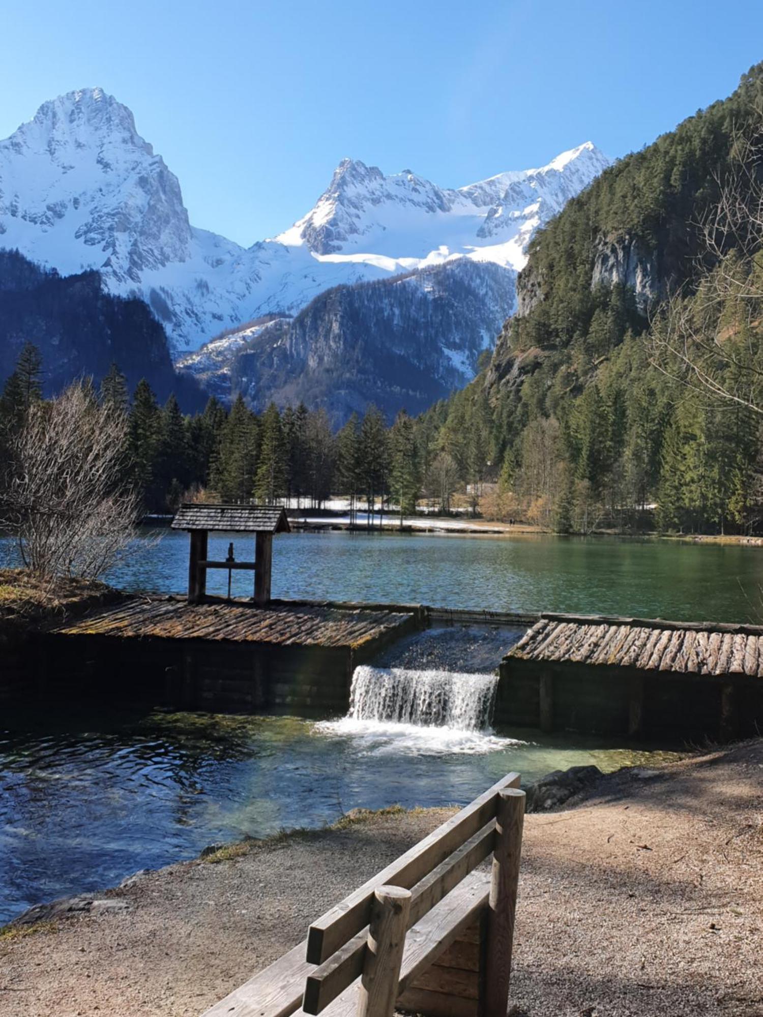 Pension Alpenhaus Vorderstoder 외부 사진