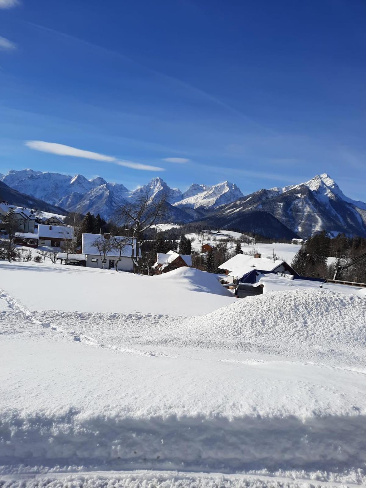 Pension Alpenhaus Vorderstoder 외부 사진