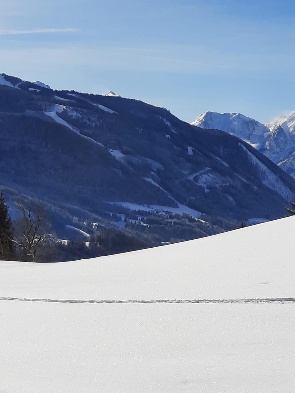 Pension Alpenhaus Vorderstoder 외부 사진