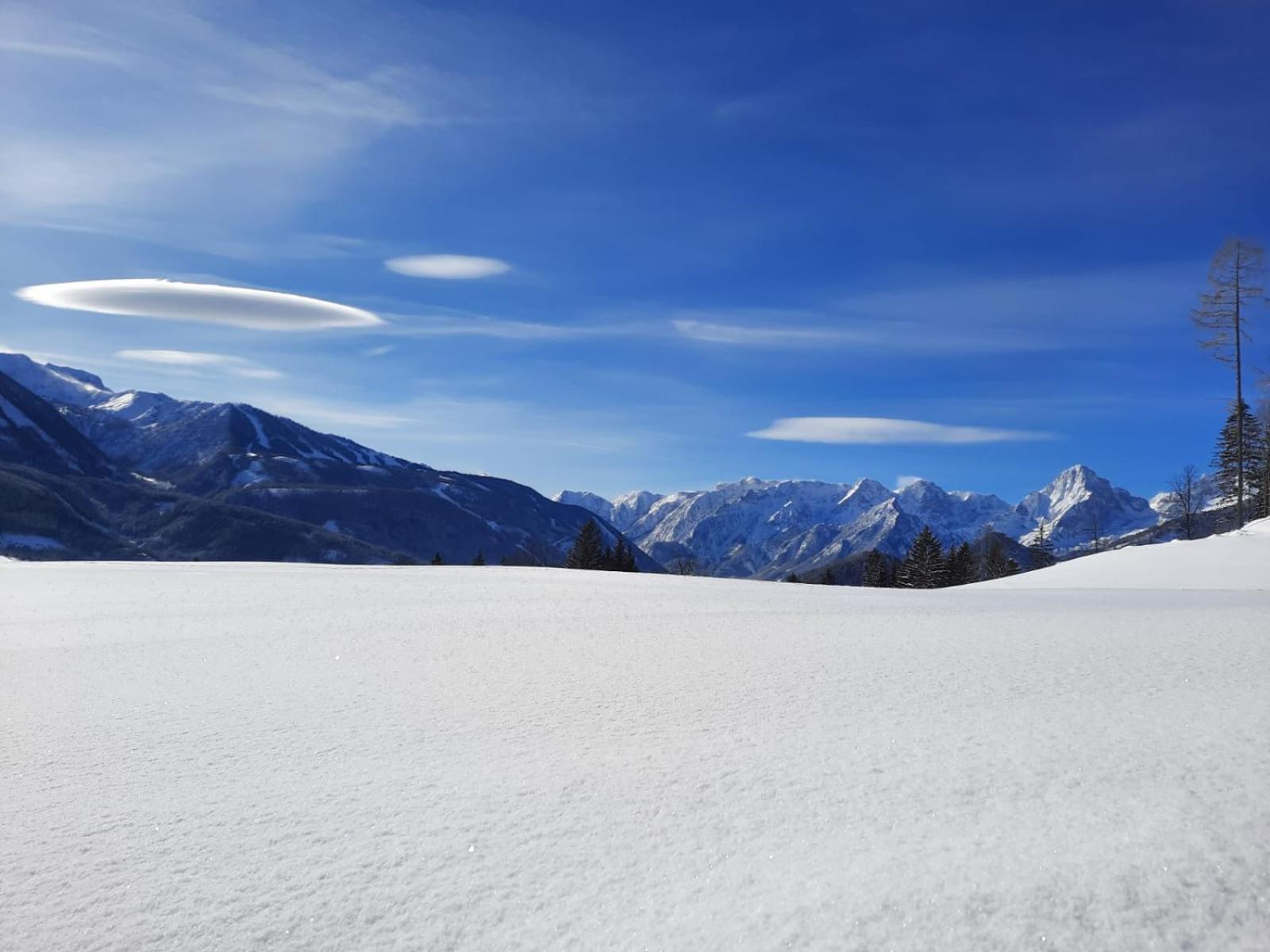 Pension Alpenhaus Vorderstoder 외부 사진