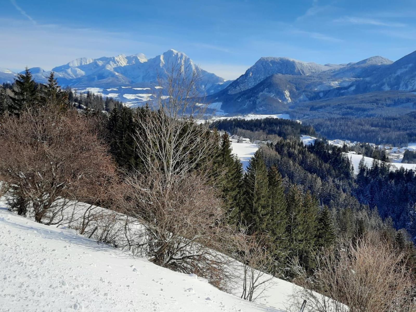 Pension Alpenhaus Vorderstoder 외부 사진